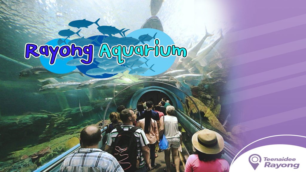 Rayong-Aquarium