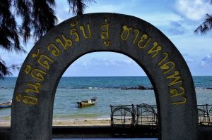 กิจกรรมของ หาดพลา