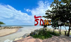 ขอแนะนำ หาดพยูน