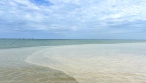 ความพิเศษหาดพยูน