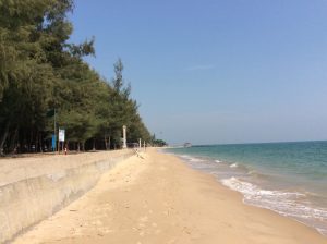 บรรยากาศหาดพลา