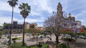 Guadalajara Update: 2024 Milestones Support 2025 Events and Attractions