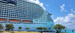 Travel Advisor Affinity, TravelPulse, MSC Cruises, Erin Douglas